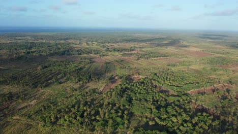 Vista-Aérea-De-Tonga,-Polinesia,-Paisaje-Verde,-Campos-Agrícolas,-Palmeras-Y-Costa