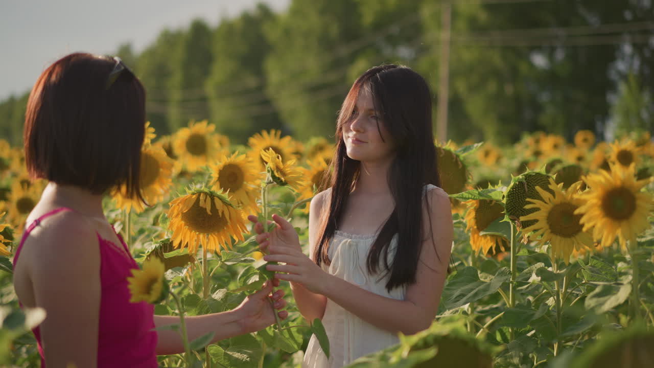 Campo di girasoli illuminato dal sole con due donne che si scambiano fiori, amiche che vagano per la campagna durante l'ora d'oro, luce solare soffusa sui petali, abiti casual, risate leggere e sguardi intimi, giardiniere giocoso