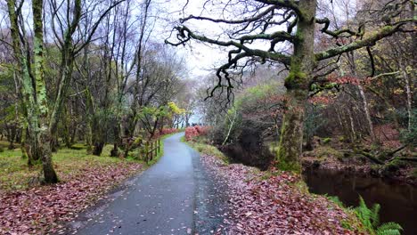 ireland epic locations winter landscapes trail to upper lake glendalough wicklow ireland on a misty moody day