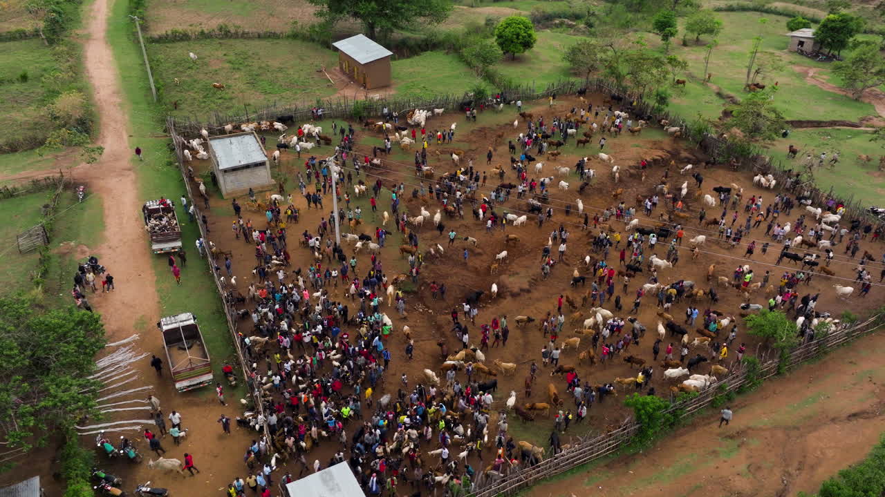 Overhead look at animal market day in Kako village