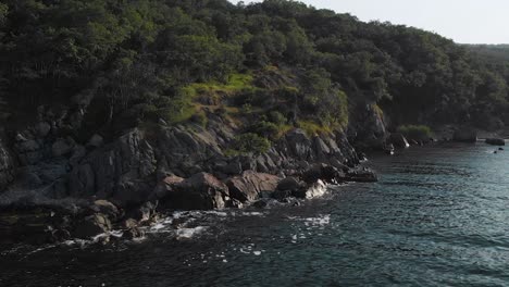 Lush-Forest-By-Rocky-Seashore-In-Ropotamo-Nature-Reserved-In-Primorsko,-Bulgaria