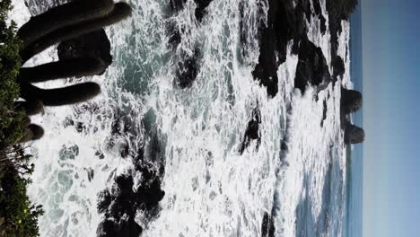 Vertikales-Video-Der-Wellen-An-Der-Punta-De-Lobos,-Pichilemu-Mit-Vögeln-Und-Einheimischer-Flora-An-Einem-Sonnigen-Tag