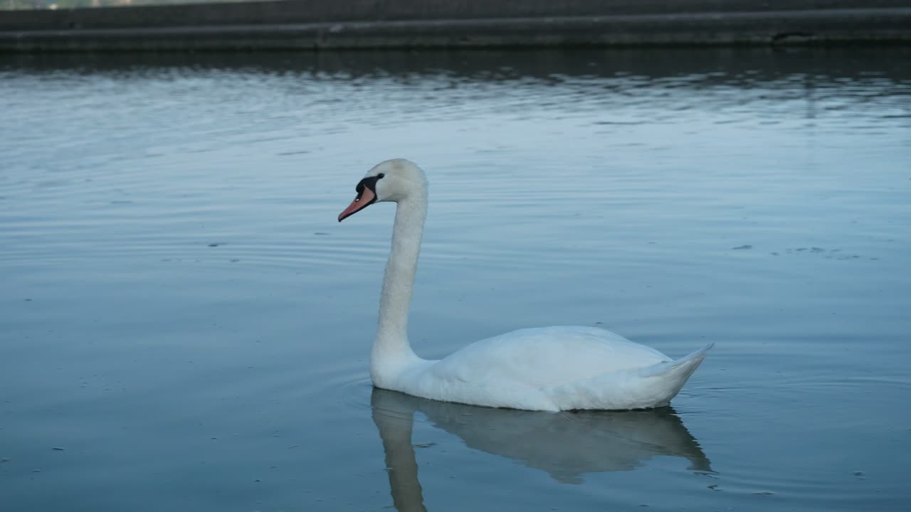 canada lake ontario summer water lakeshore toronto etobicoke water humber