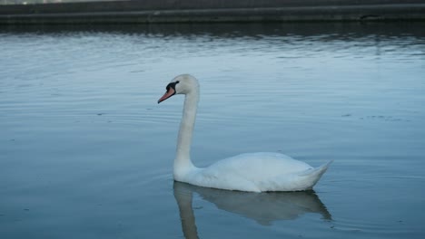 canada lake ontario summer water lakeshore toronto etobicoke water humber
