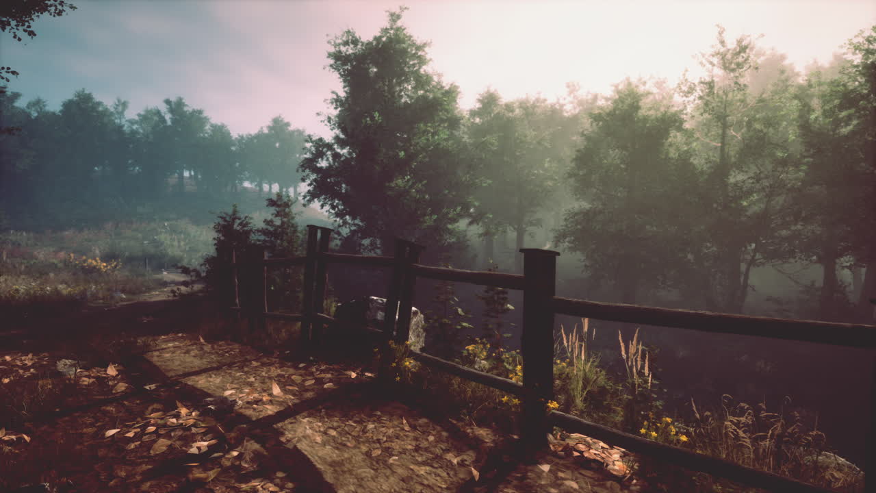 Foggy Forest Path