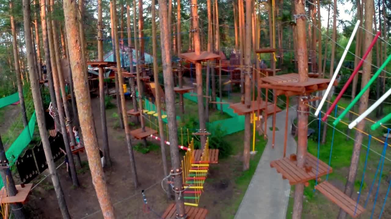 парк приключений на вершинах деревьев в лесу