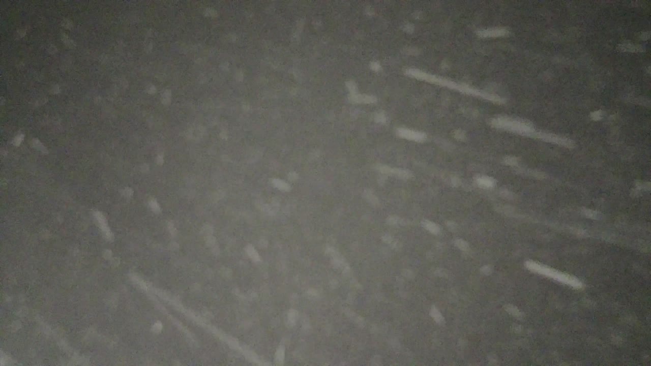 눈이 떨어지는 운동 배경