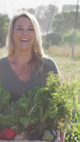 video of happy caucasian woman with box of fresh vegetables in field on sunny day