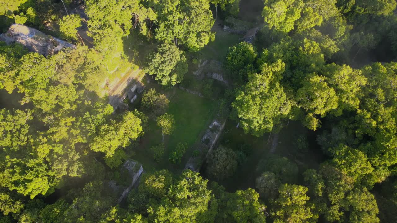 ruinas mayas, pirámides en la selva, clima brumoso, sitio arqueológico cubierto por árboles nakum guatemala
