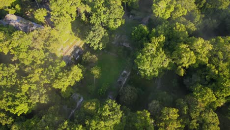 Mayan-ruins,-Pyramids-in-jungle,-foggy-weather,-archeological-site-covered-by-trees-Nakum-Guatemala