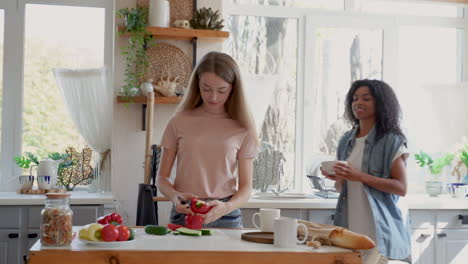 two female friends cooking a vegan recipe by slicing red peppers. black girl and caucasian young woman talk and laugh in the kitchen. medium shot.