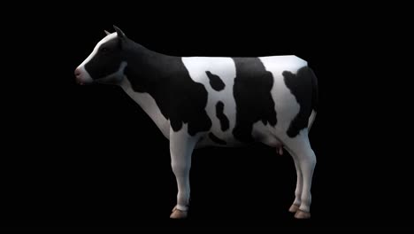 Una-Vaca-Parada-Sobre-Fondo-Negro-Con-Canal-Alfa-Incluido-Al-Final-Del-Vídeo,-Animación-3d,-Vista-Lateral,-Animales-Animados,-Animación-En-Bucle-Sin-Interrupciones