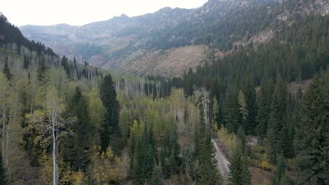 El-Hermoso-Y-Pacífico-Paisaje-De-Un-Bosque-En-El-Parque-Estatal-De-Montaña-Wasatch-En-Utah,-Ee.uu.---Toma-Aérea