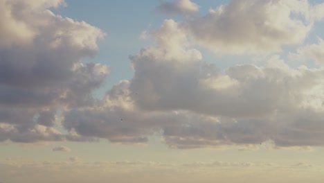 Simple-cloud-footage-with-seagulls-flying-by