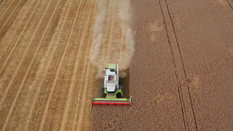 seasonal works on the wheat field. combine cut the dry spikelets of wheat and leaves heavy dusty trail behind. view from top.