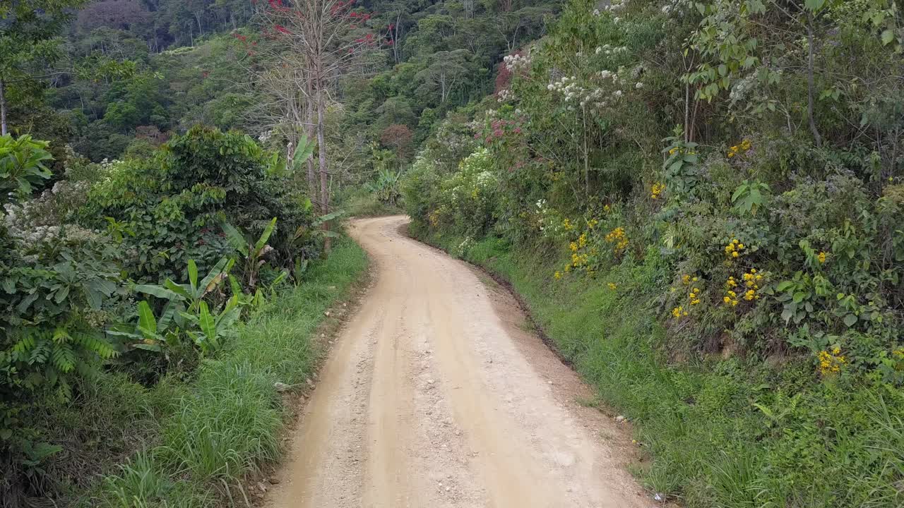 볼리비아 산악 정글 에 있는 커피 농장