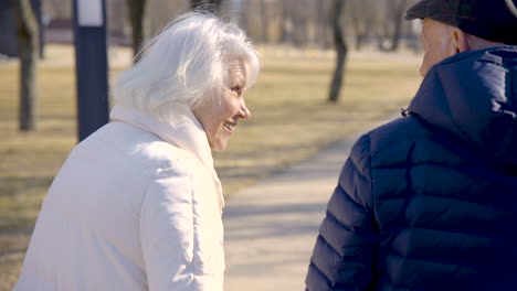 rear view of a senior couple holding hands, walking and talking in the park on a winter day