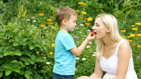 young boy offering a strawberry to a woman in a lush garden