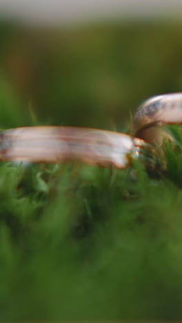 glazing wedding rings on moss covered surface extreme closeup. eco designed bridal accessories for new family. environment protection activism