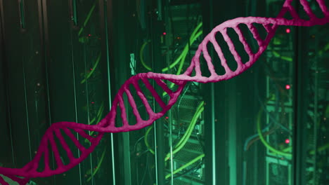 animación de una cadena de adn rosada moviéndose sobre servidores de computadoras oscuras