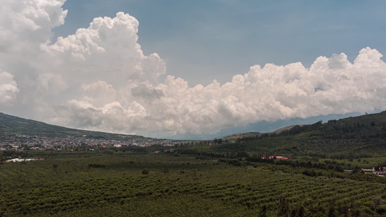 hyperlapse aéreo disparado volando hacia las nubes en la parte superior de un campo de árboles en américa central en 4k
