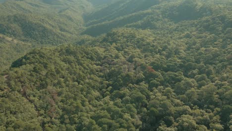 Vista-Aérea-De-La-Increíble-Jungla-Forestal-En-Las-Montañas,-Asombroso-Paisaje-Montañoso-Matutino,-Establecimiento-De-Tiro