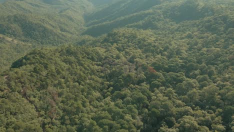 vista aérea de la increíble jungla forestal en las montañas, asombroso paisaje montañoso matutino, establecimiento de tiro