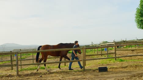 woman walking with horse in stable 4k