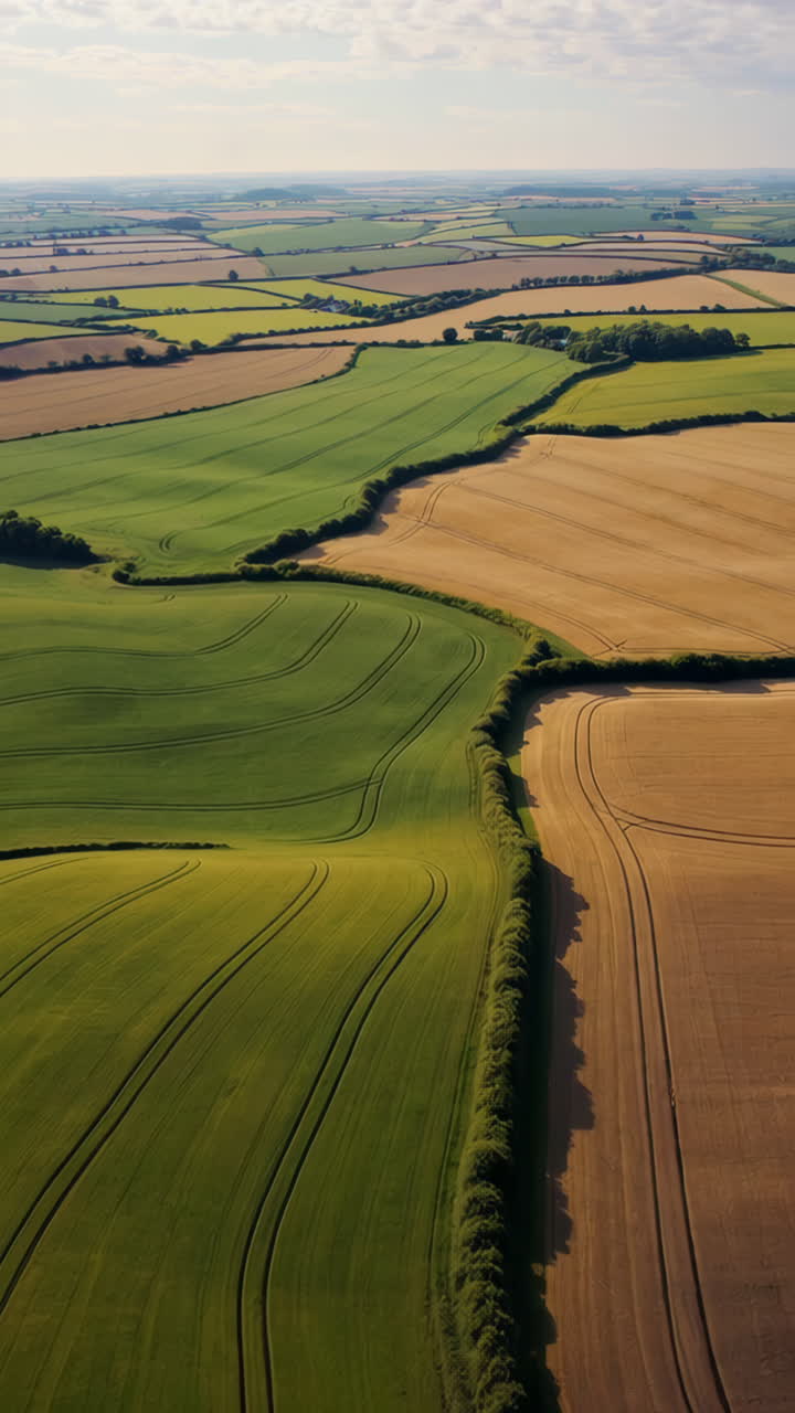 vista aérea de las tierras de cultivo cultivadas
