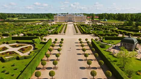 aerial view of woman running through topiary rows under summer sunlight