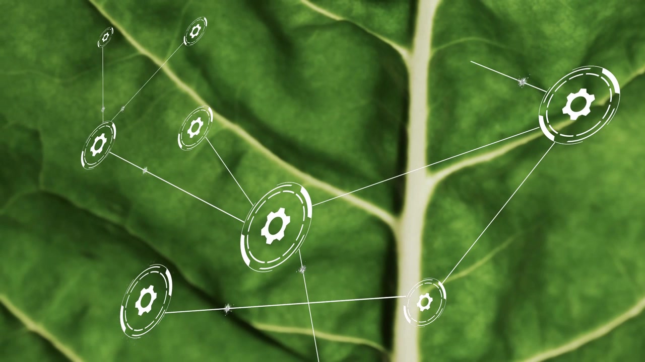 Un nodo a forma di ingranaggio appare su una foglia, una rete HUD si moltiplica e si collega tramite linee sottili per una demo tecnologica.