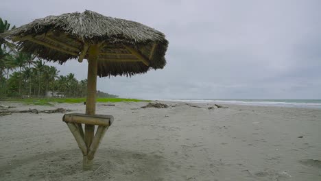 sombrilla de paja y bosque de palmeras en un día ventoso en la playa de ecuador