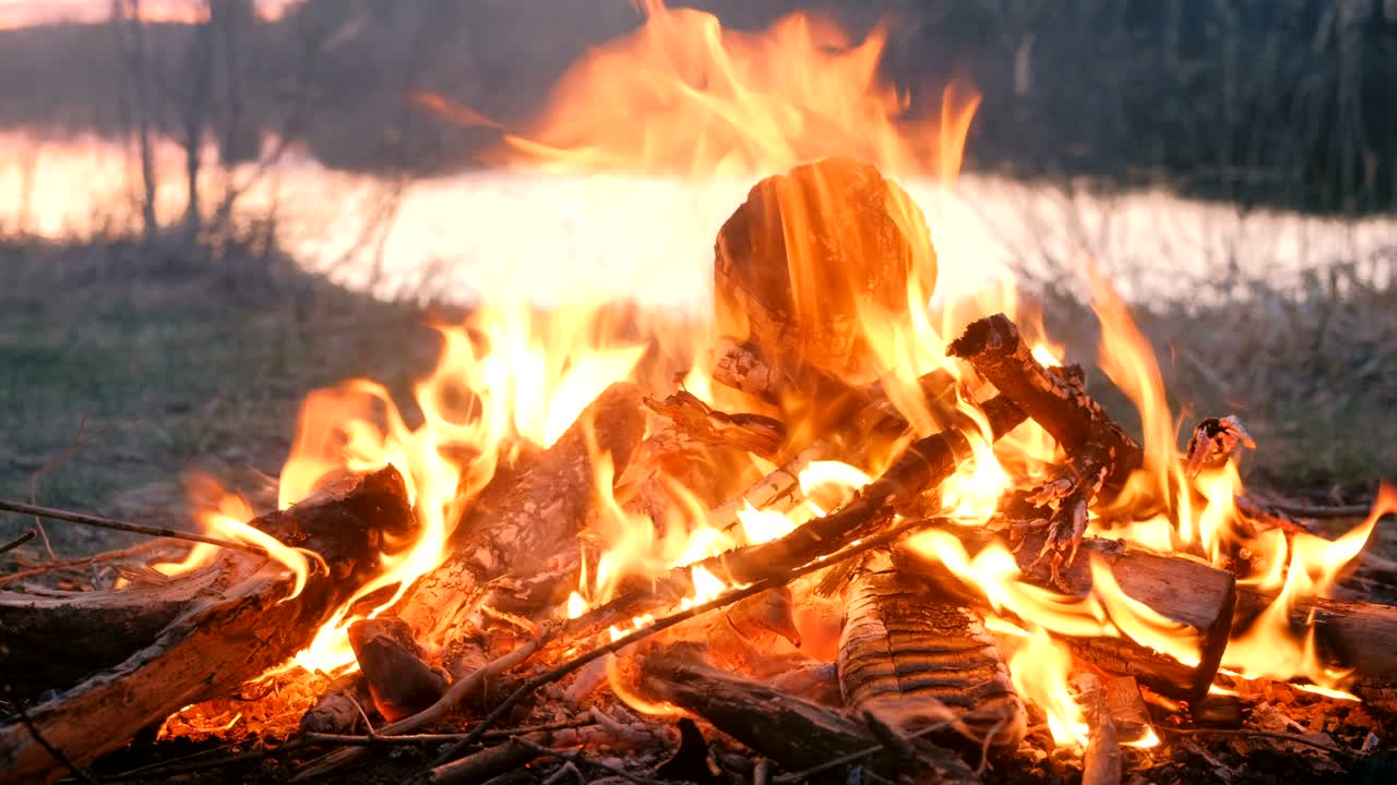 una fogata de ramas secas en el bosque en un primer plano de la orilla del río.
