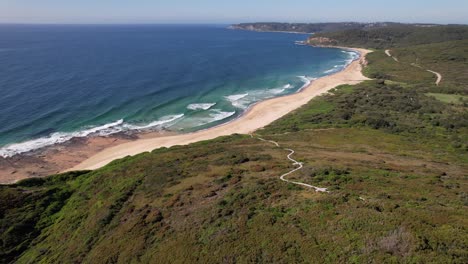 glenrock beach with turquoise seascape in new south wales, australia - drone shot