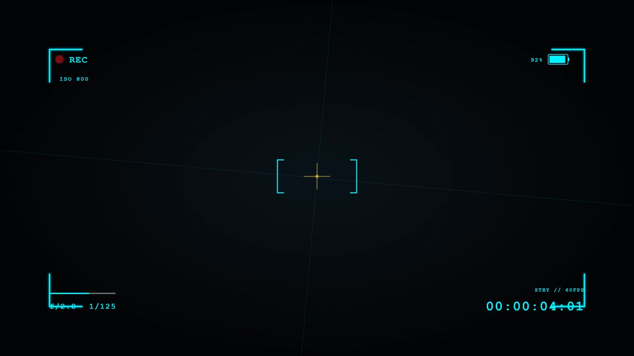 Digital Camera Viewfinder Overlay with Recording Interface