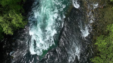 Bird's-eye-view-of-a-green-river-cutting-through-a-thick-forest,-showcasing-the-vibrant-colors-of-early-spring