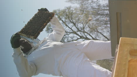 vertical - epic hero shot - beekeeper inspecting a frame from a hive