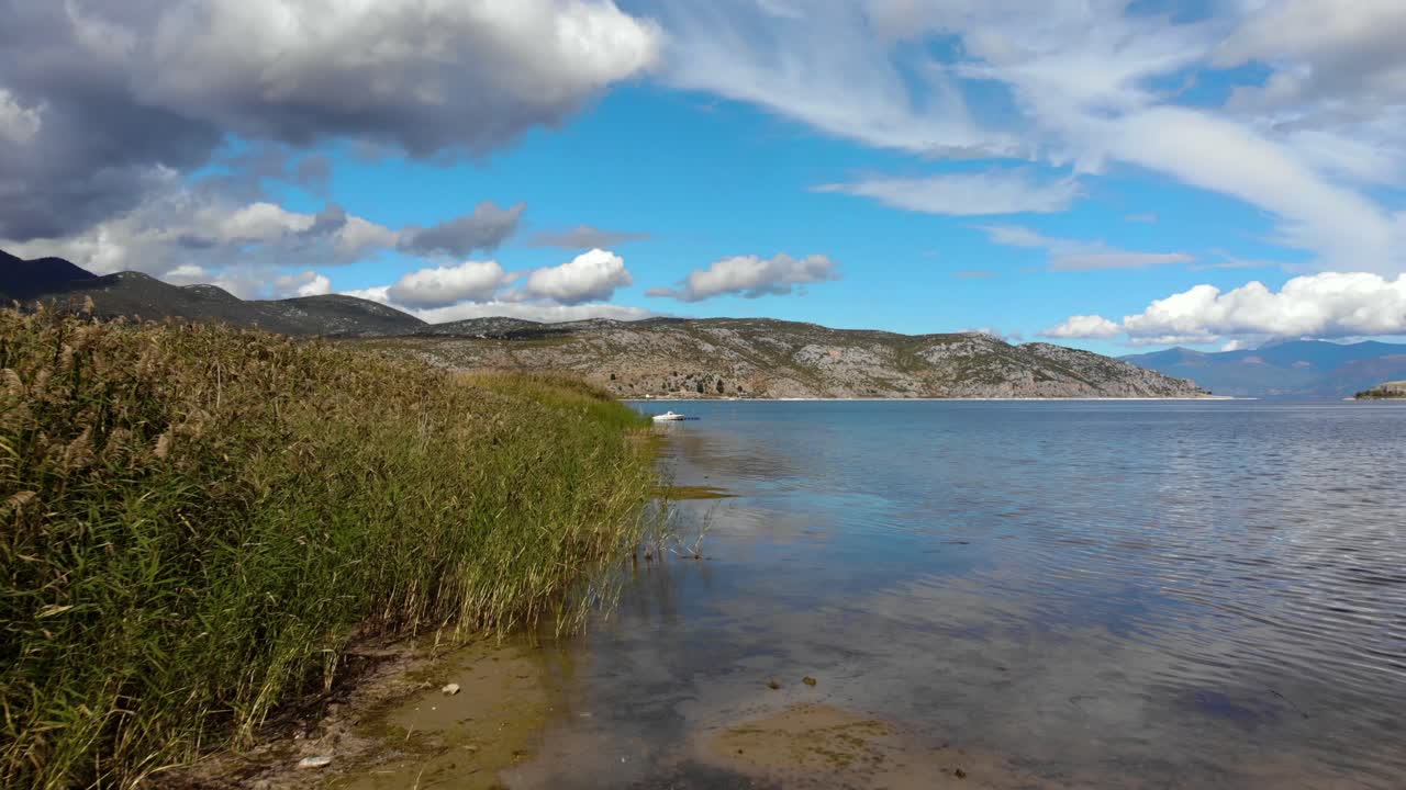 orilla del lago natural con juncos en el lago de montaña de prespa en un hermoso día con cielo nublado