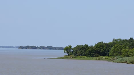 río tranquilo con árboles verdes exuberantes