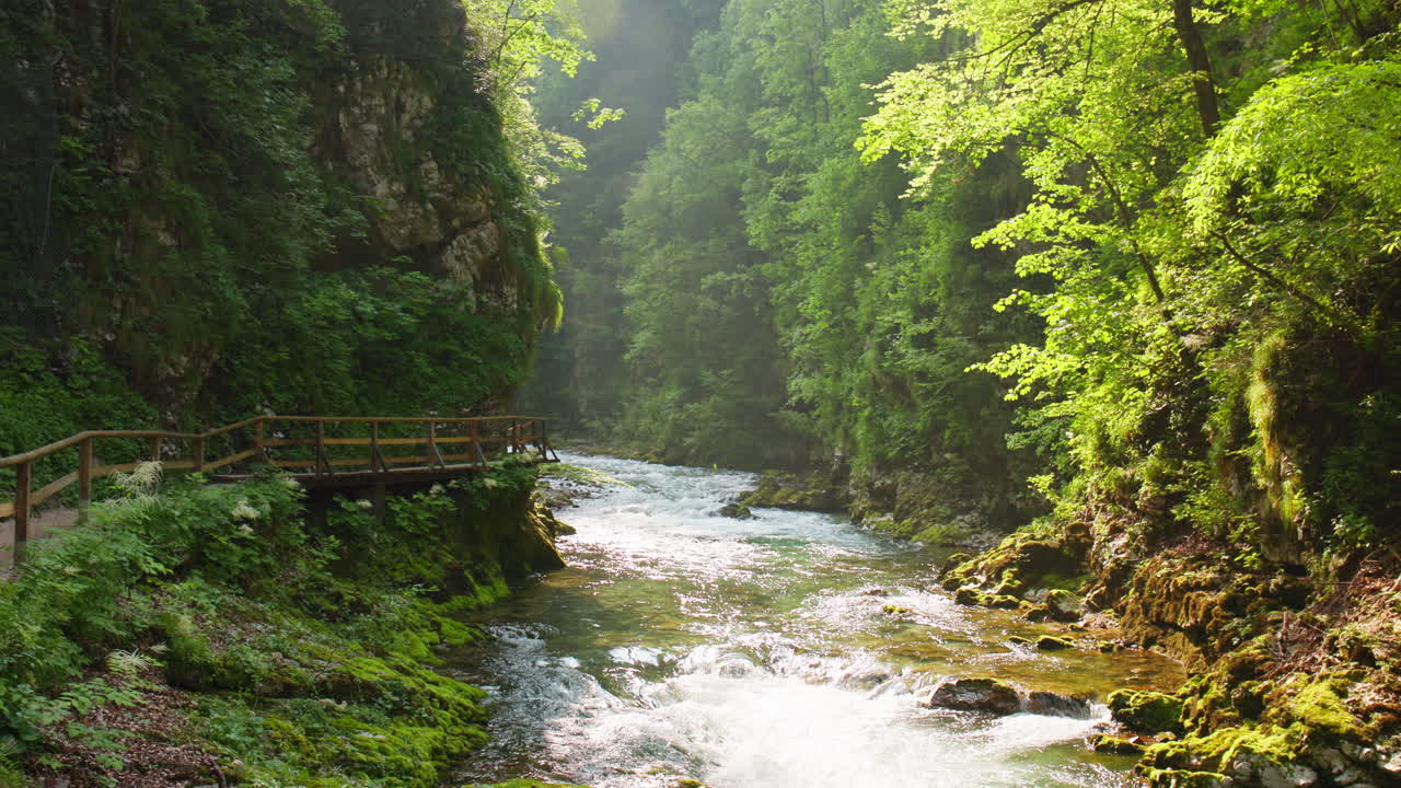 Sunlit Vintgar Gorge River in Slovenia Surrounded by Lush Green Forest