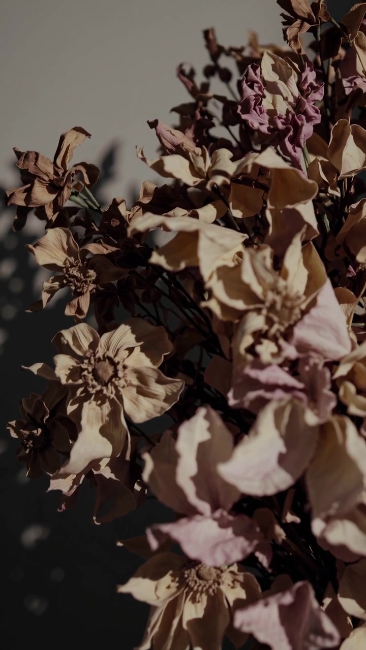 Bouquet di fiori secchi estetico con ombre dinamiche su una parete
