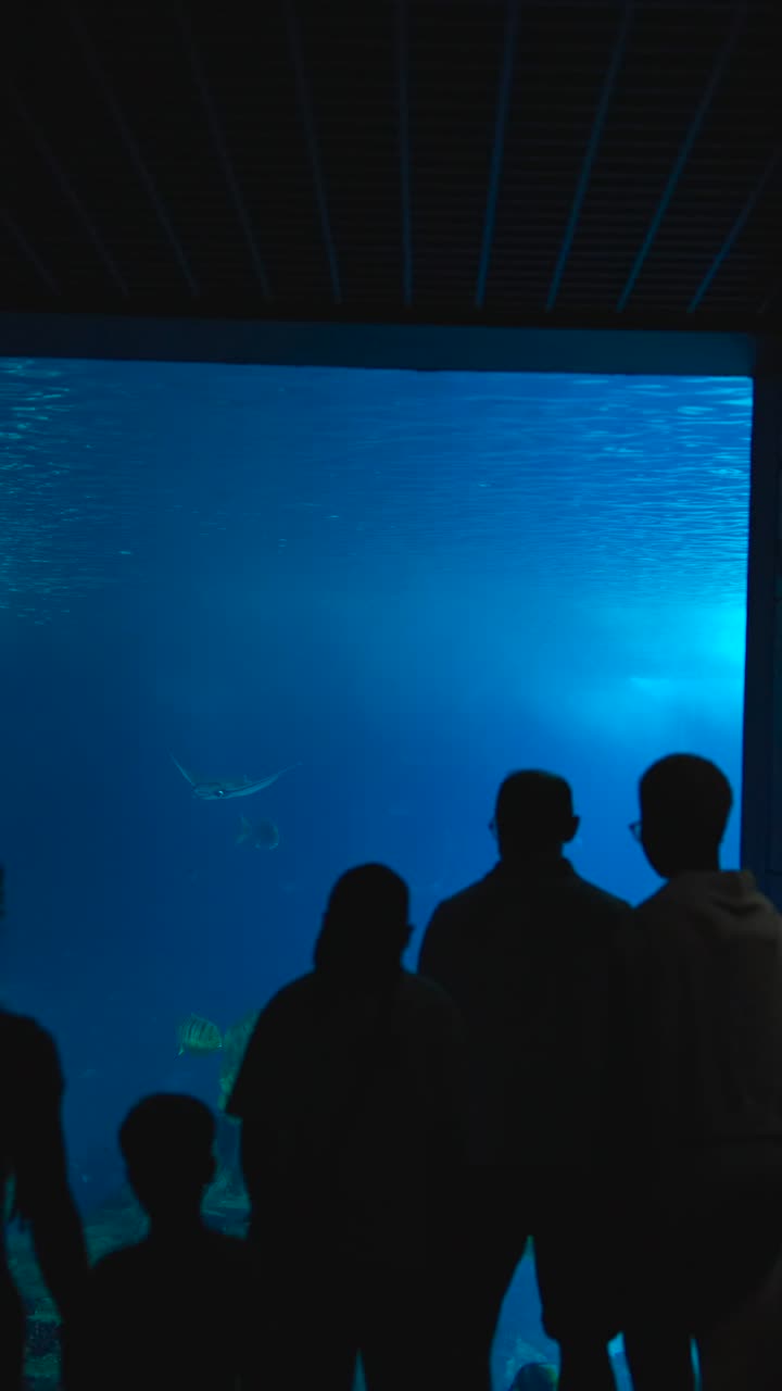 People viewing marine life in a large aquarium tank