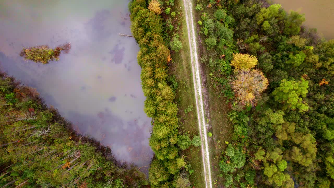 tiro directo de un dron de un sendero y un puente decrépito sobre un río en el norte de michigan a principios de otoño que muestra el follaje y la naturaleza