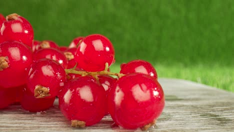 super close macro of a redcurrants on a wooden table.