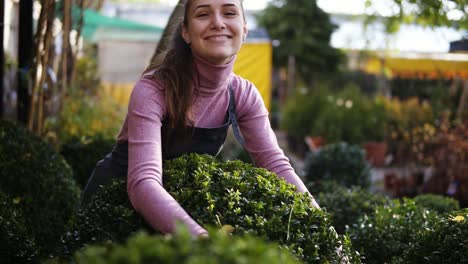 Florista-Joven-En-Delantal-Abrazando-Boj-Verde-En-El-Invernadero,-Sonriendo-Y-Mirando-A-La-Cámara.-Una-Mujer-Feliz-En-El-Invernadero-Ama-Los-Buxus-Y-Su-Trabajo.