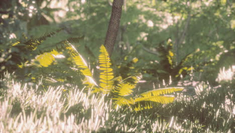 sunlit forest scene with lush greenery and ferns