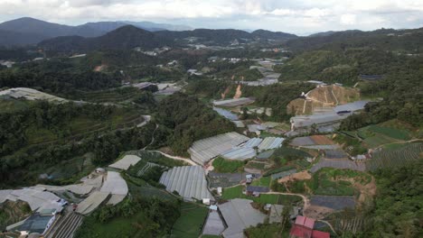 general landscape view of the brinchang district within the cameron highlands area of malaysia