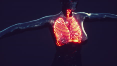imagen de rayos x de los pulmones humanos para un diagnóstico médico de coronavirus covid-19