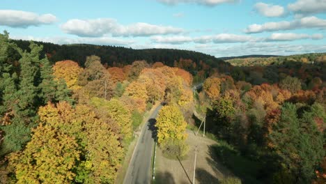 aerial: colorful autumn leaves with beautiful trees in yellow forest near road with driving cars