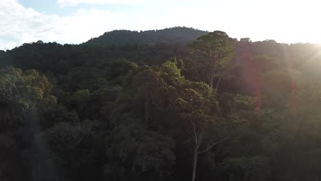 a beautiful drone shot of sunrise over the amazon rainforest